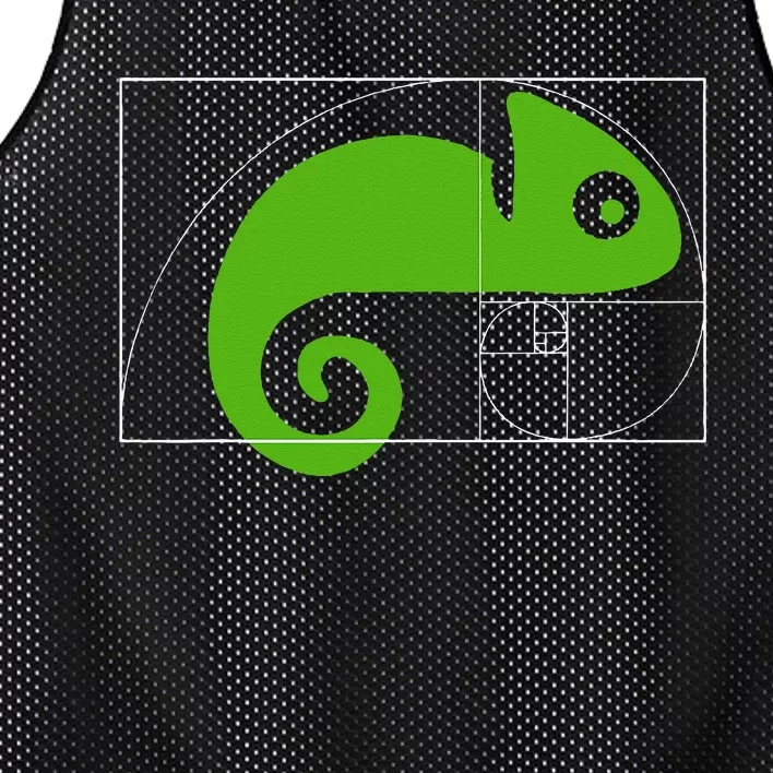 Math Mathematics Fibonacci Sequence Chameleon Golden Ratio Mesh Reversible Basketball Jersey Tank