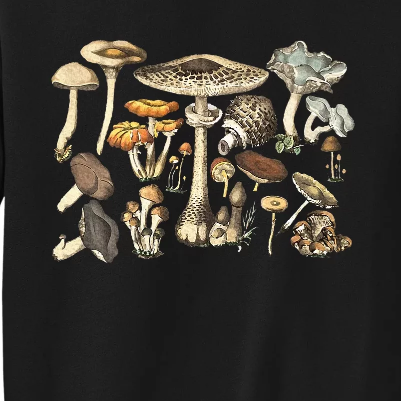 Mushroom Mycology Fungi Foraging Mushroom Whisperer Sweatshirt