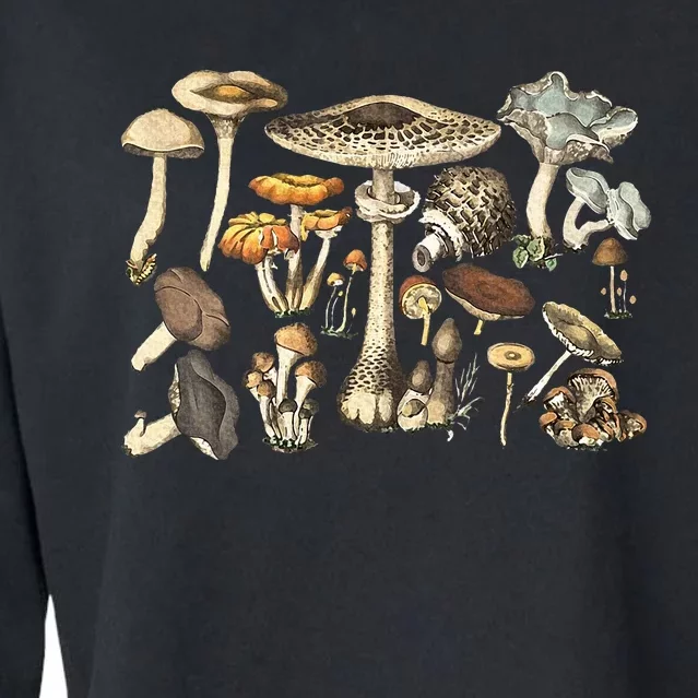 Mushroom Mycology Fungi Foraging Mushroom Whisperer Cropped Pullover Crew