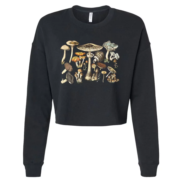 Mushroom Mycology Fungi Foraging Mushroom Whisperer Cropped Pullover Crew