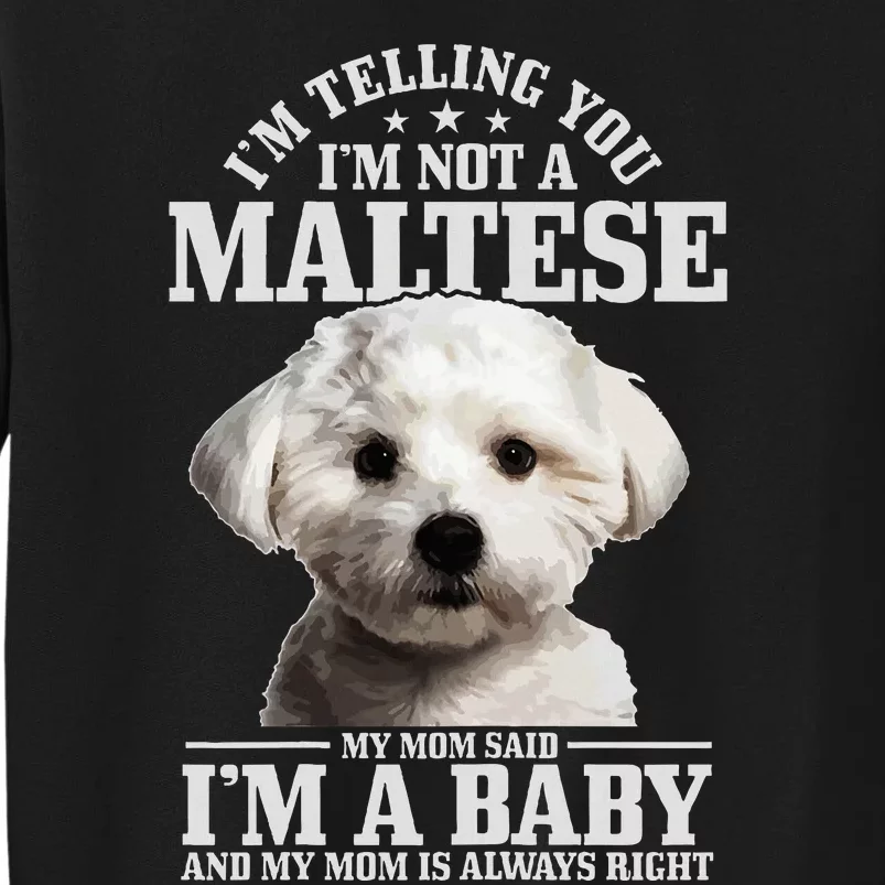 Maltese Mom Said IM A Baby Funny Maltese Dog Tall Sweatshirt