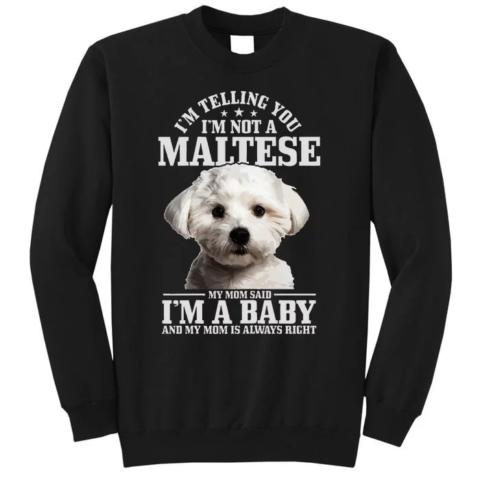 Maltese Mom Said IM A Baby Funny Maltese Dog Tall Sweatshirt