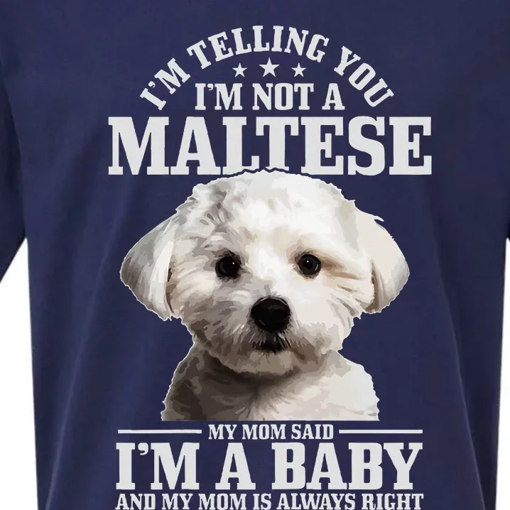 Maltese Mom Said IM A Baby Funny Maltese Dog Sueded Cloud Jersey T-Shirt