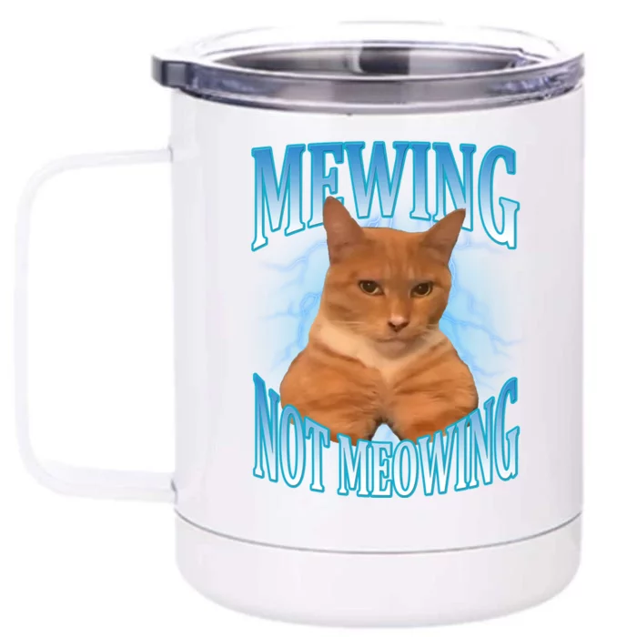 Mewing Not Meowing Funny Cat Meme Front & Back 12oz Stainless Steel Tumbler Cup