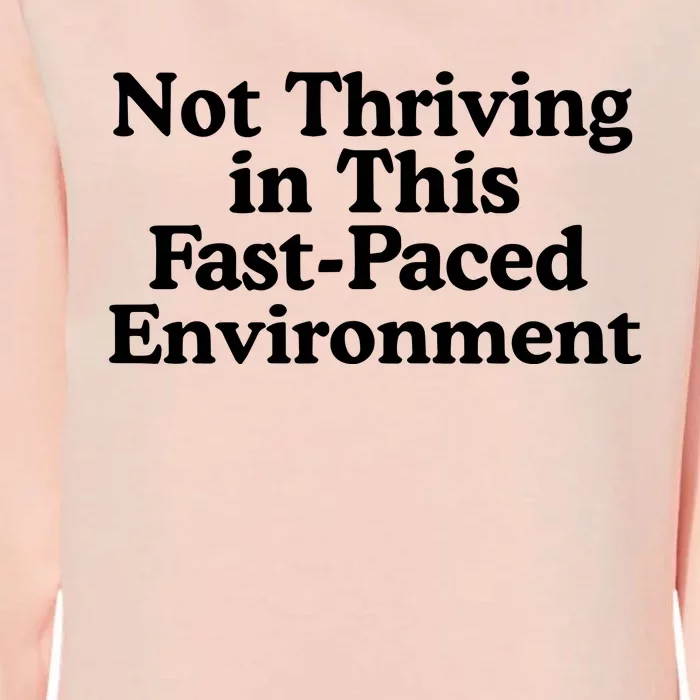 Middleclassfancy Not Thriving In This Fastpaced Environment Womens California Wash Sweatshirt