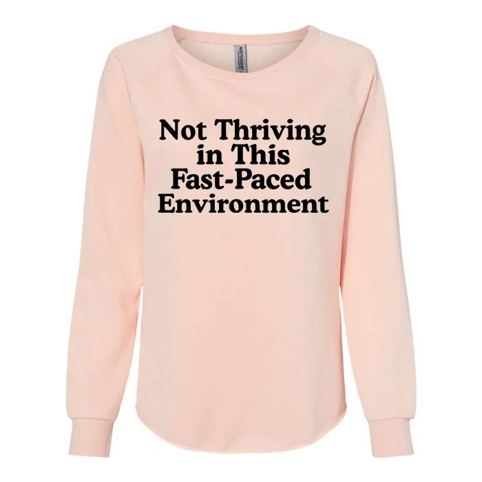 Middleclassfancy Not Thriving In This Fastpaced Environment Womens California Wash Sweatshirt