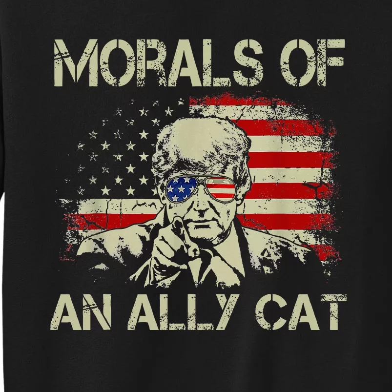 Morals Of An Ally Cat Trump Biden Debate Sweatshirt