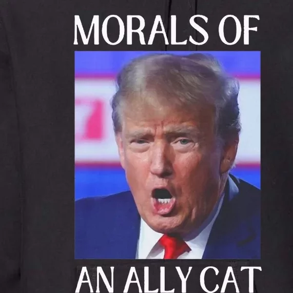 Morals Of An Ally Cat Trump Biden Debate Premium Hoodie