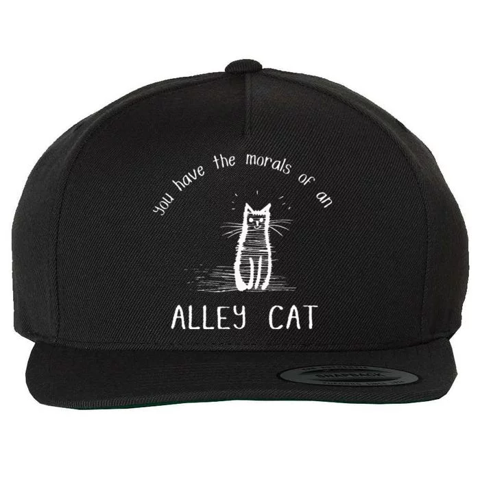 Morals Of An Alley Cat Funny Debate Wool Snapback Cap