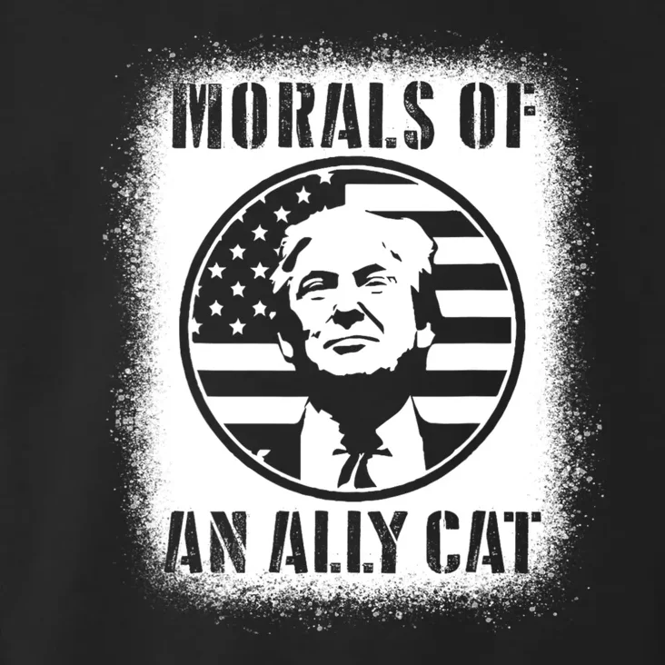 Morals Of An Ally Cat Trump Biden Debate Toddler Hoodie