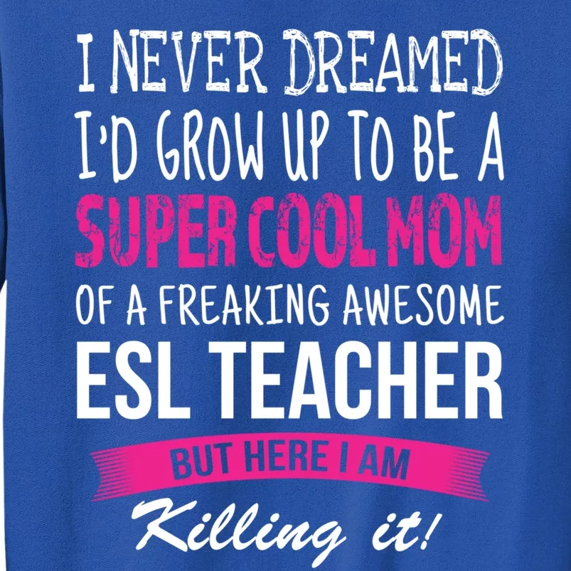 Mom Of Esl Teacher Funny I Never Dreamed Gift Sweatshirt