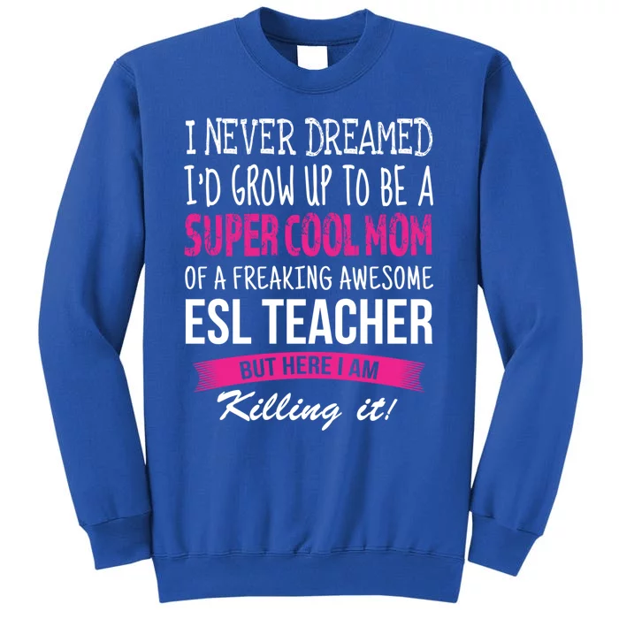 Mom Of Esl Teacher Funny I Never Dreamed Gift Sweatshirt