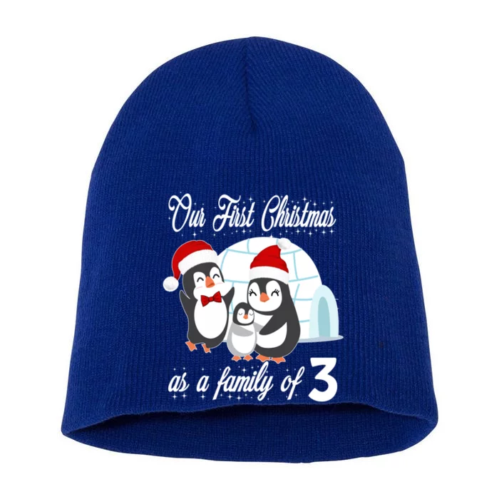 Matching Our First Christmas As A Family Of 3 Penguins Gift Cute Gift Short Acrylic Beanie