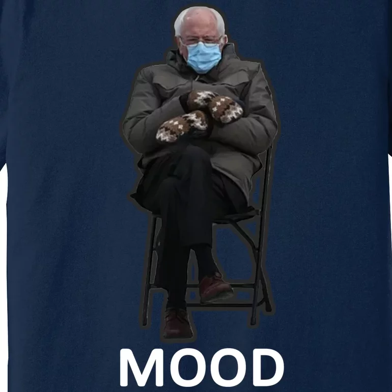 Mood Bernie Sanders Mittens Inauguration Premium T-Shirt