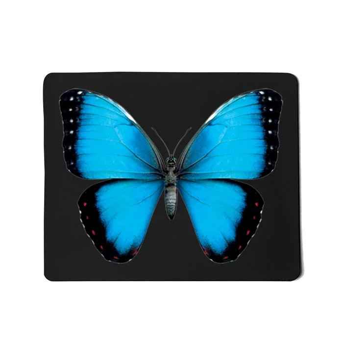 Morpho Butterfly Close Up 3D Mousepad