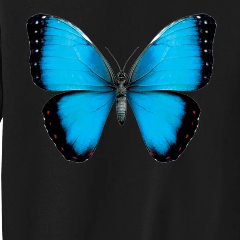 Morpho Butterfly Close Up 3D Tall Sweatshirt