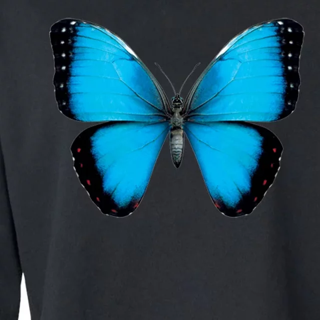 Morpho Butterfly Close Up 3D Cropped Pullover Crew