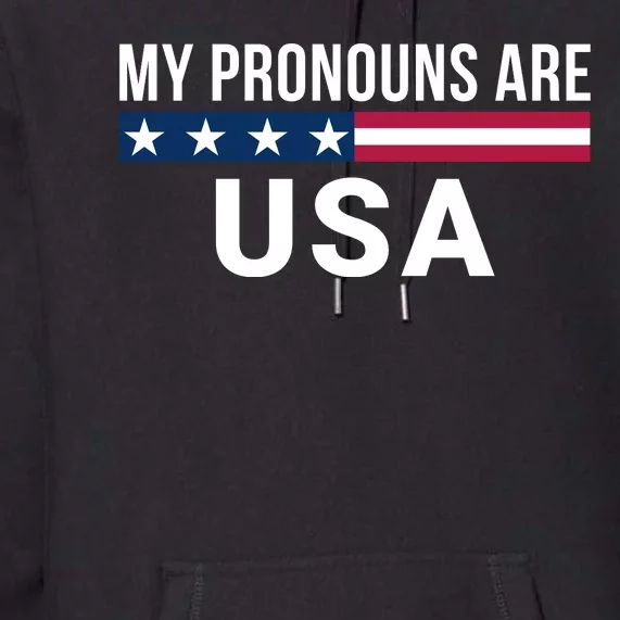 My Pronouns Are USA We The People 1776 USA Flag 4th Of July We The People Premium Hoodie