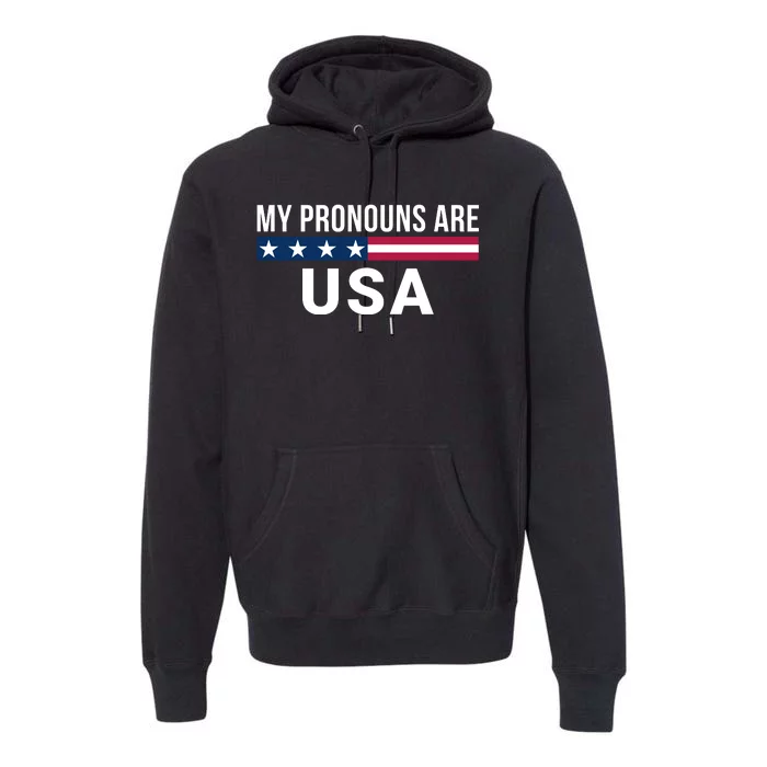 My Pronouns Are USA We The People 1776 USA Flag 4th Of July We The People Premium Hoodie