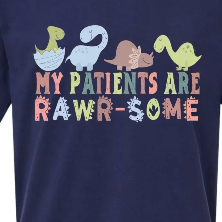 My Patients Are RawrSome Nurse Meaningful Gift Sueded Cloud Jersey T-Shirt