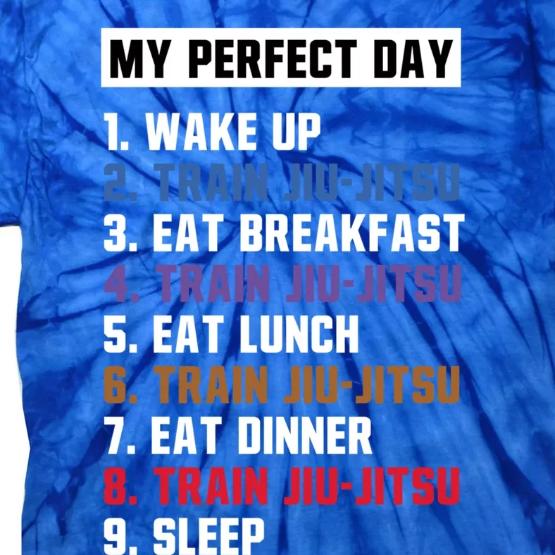 My Perfect Day Jiugiftjitsu Gift Tie-Dye T-Shirt