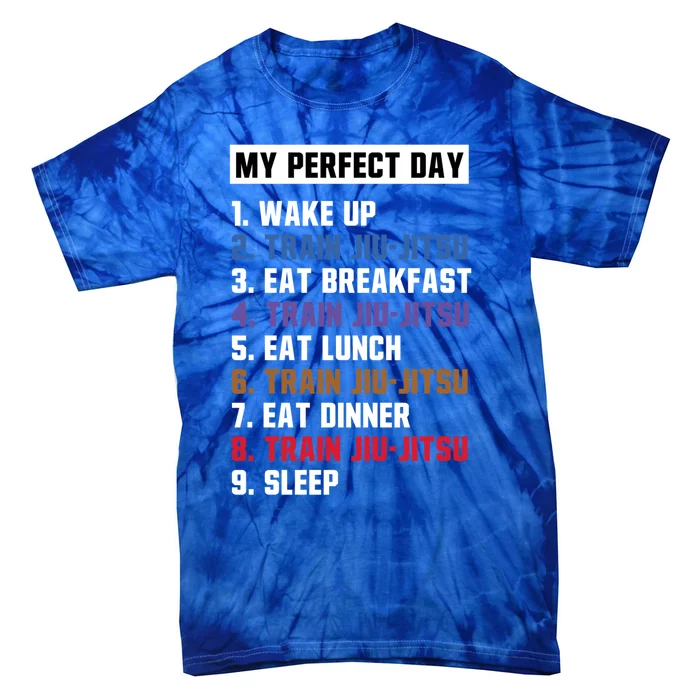 My Perfect Day Jiugiftjitsu Gift Tie-Dye T-Shirt