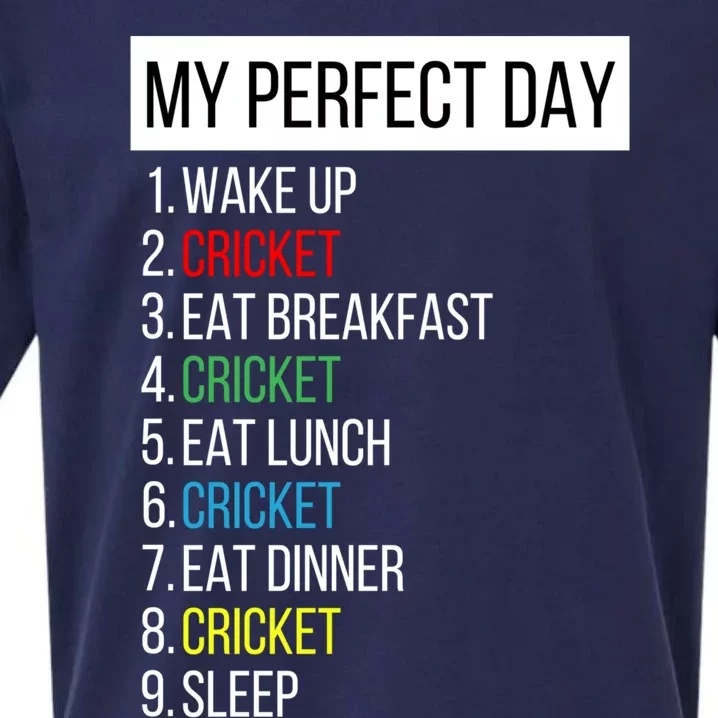 My Perfect Day Cricket Gift Sueded Cloud Jersey T-Shirt