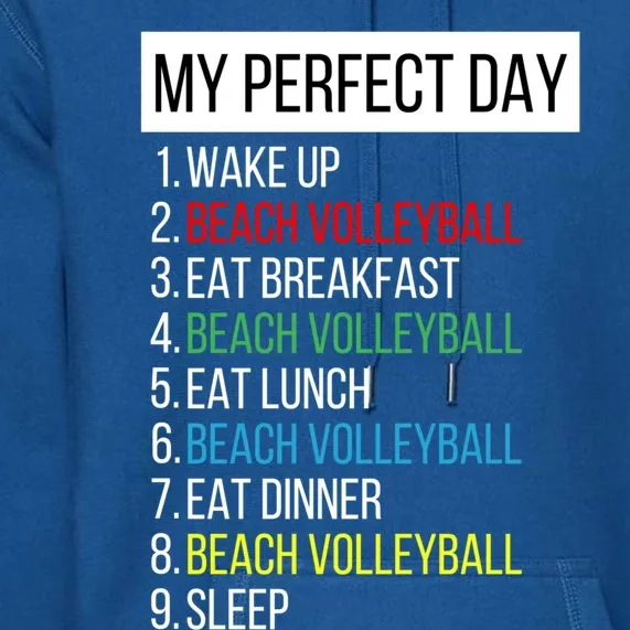 My Perfect Day Beach Volleyball Gift Premium Hoodie