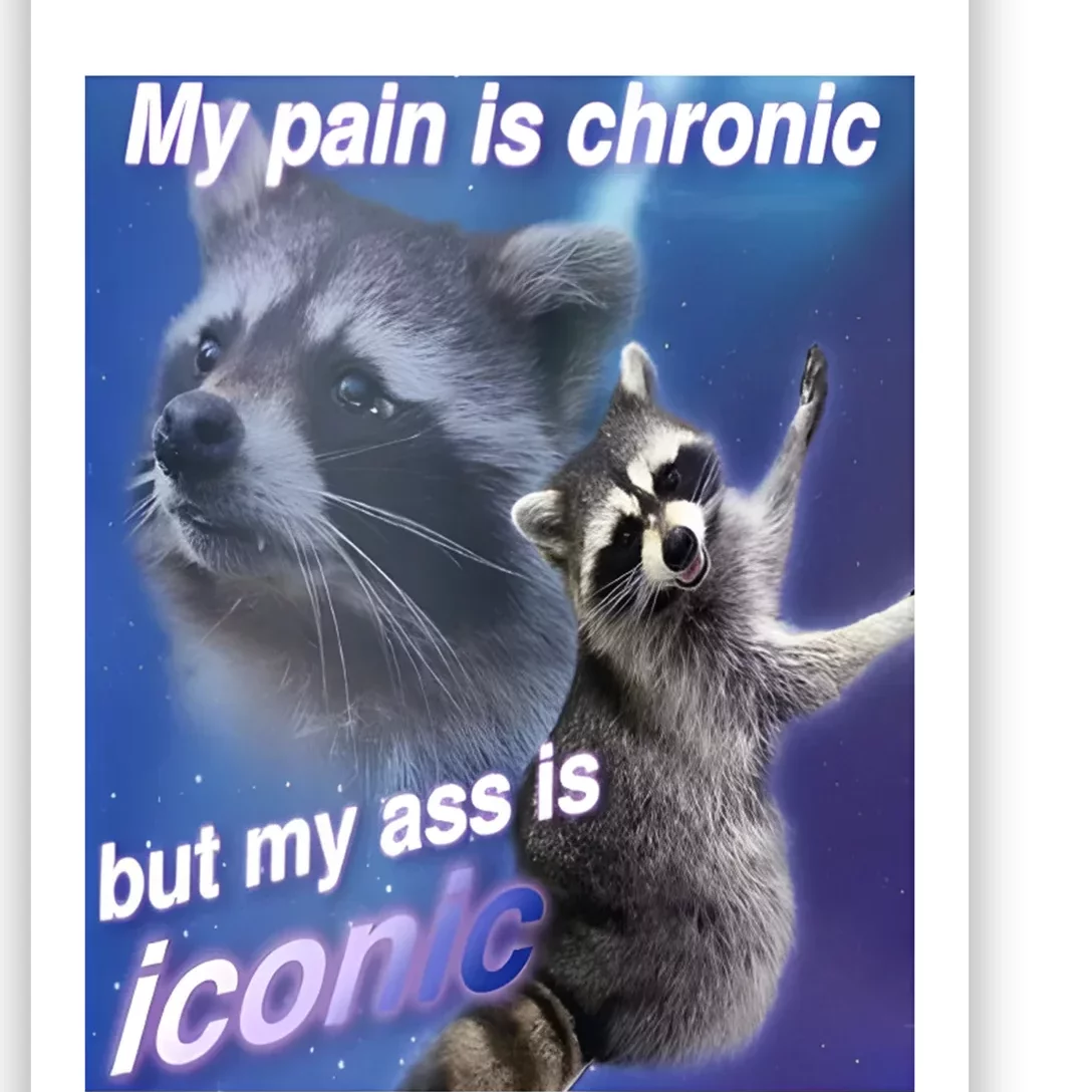 My Pain Is Chronic But My Ass Is Iconic Funny Raccoon Meme Poster