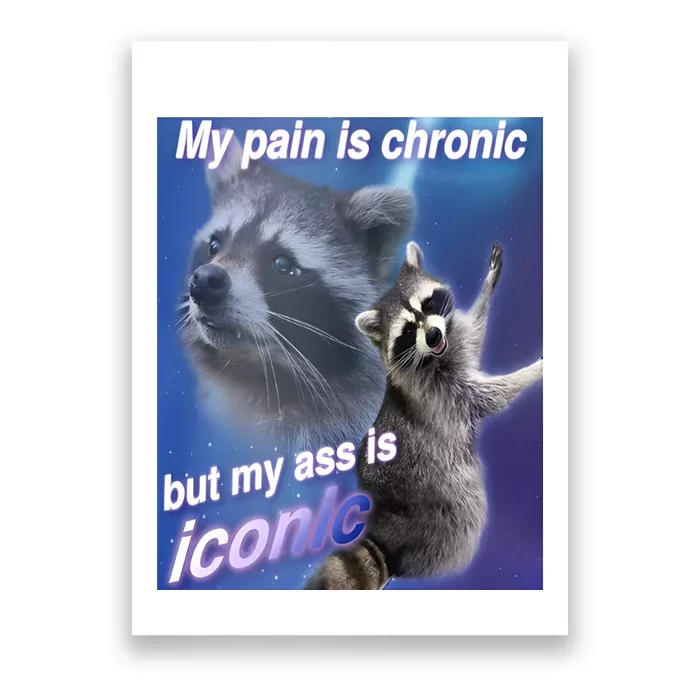 My Pain Is Chronic But My Ass Is Iconic Funny Raccoon Meme Poster