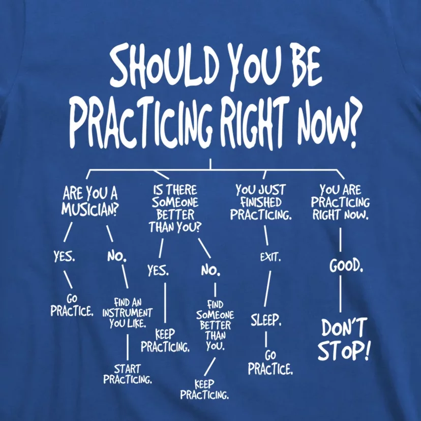 Music Practice Instrut Algorithm Funny Christmas Gift T-Shirt