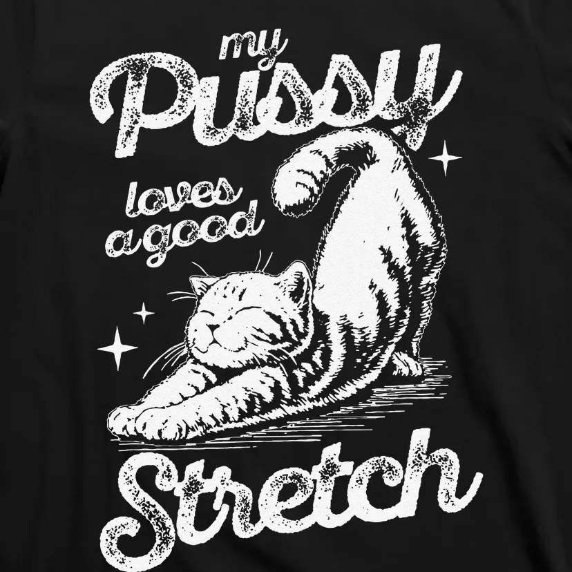 My Pussy Love A Good Stretch Funny Raunchy Cat Funny Meme T-Shirt