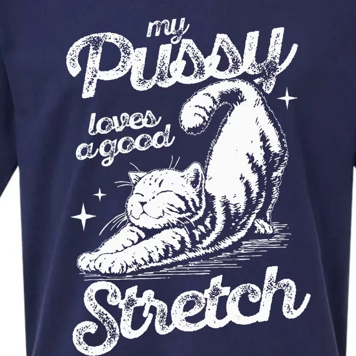 My Pussy Love A Good Stretch Funny Raunchy Cat Funny Meme Sueded Cloud Jersey T-Shirt