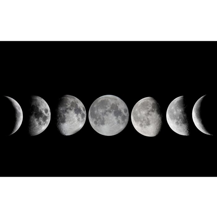 Moon Phases Bumper Sticker