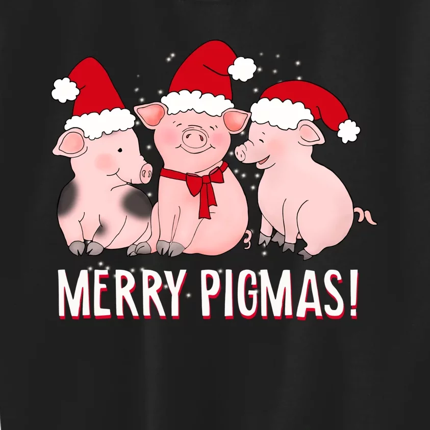 Merry Pigmas Pig Lover Christmas Kids Sweatshirt