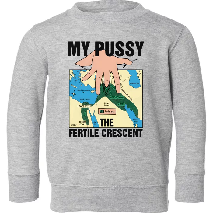 My Pussy The Fertile Crescent Toddler Sweatshirt