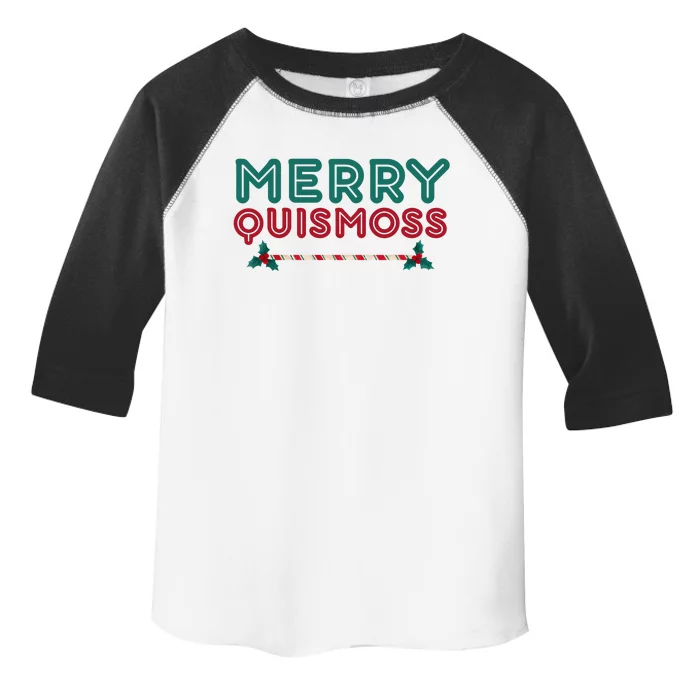 Merry Quismoss Funny Merry Christmas Meme Toddler Fine Jersey T-Shirt