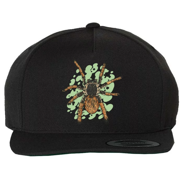 Megaphobema Robustum Tarantula Spider Wool Snapback Cap