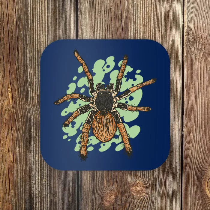 Megaphobema Robustum Tarantula Spider Coaster