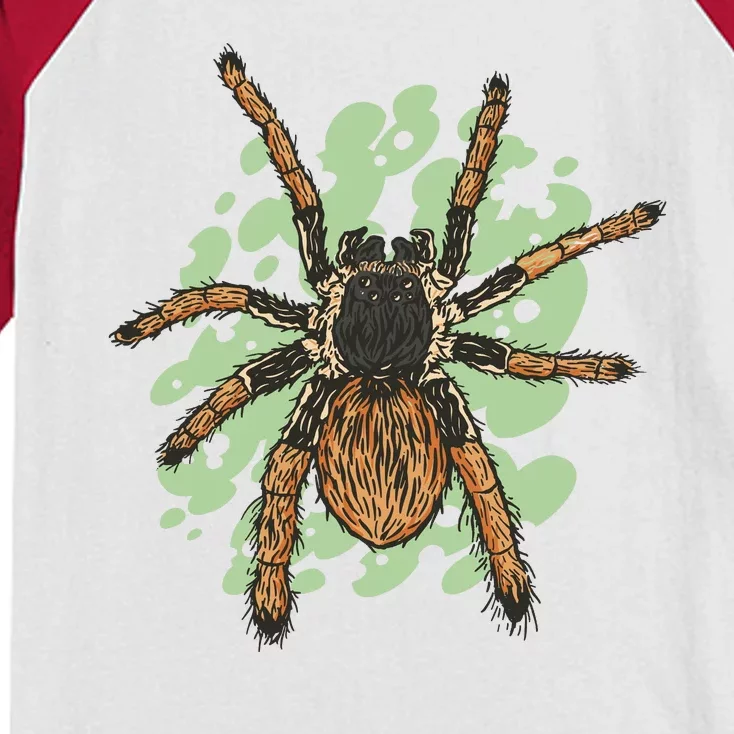 Megaphobema Robustum Tarantula Spider Kids Colorblock Raglan Jersey