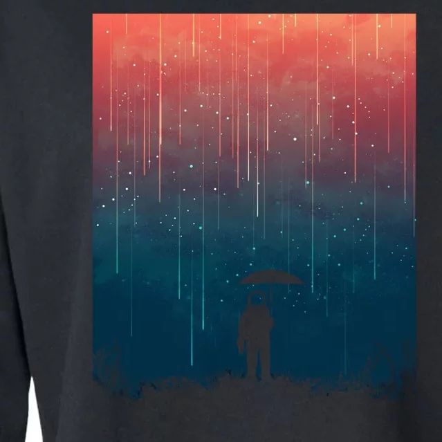 Meteor Shower Cropped Pullover Crew