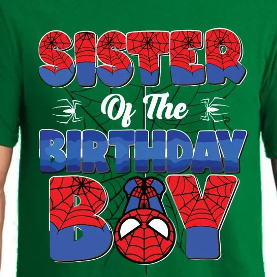 Matching Sister Birthday Boy Pajama Set