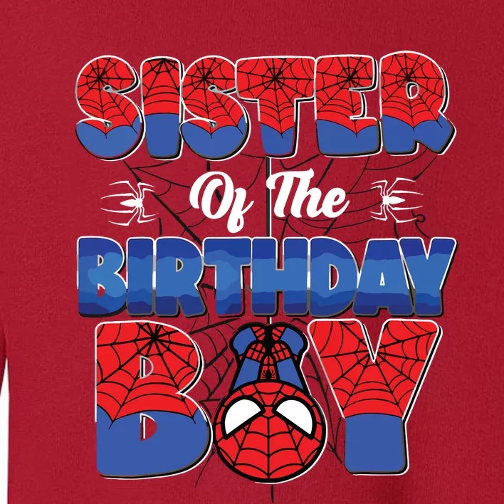 Matching Sister Birthday Boy Toddler Sweatshirt