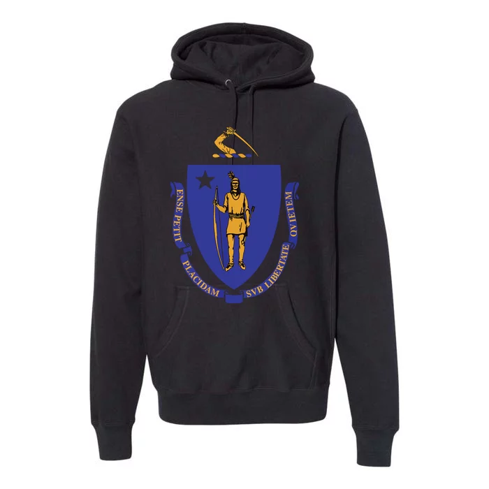 Massachusetts State Flag Us State Flag Premium Hoodie