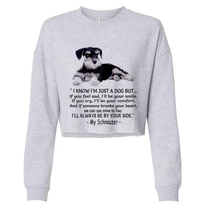 Miniature Schnauzer Funny Gift Cropped Pullover Crew