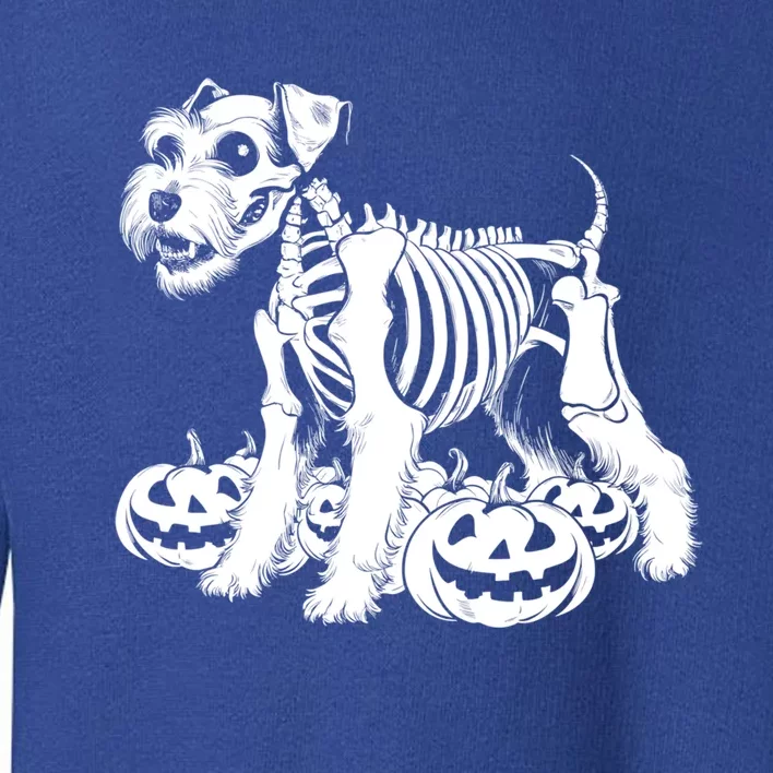 Miniature Schnauzer Skeleton Birthday Halloween Cute Gift Toddler Sweatshirt