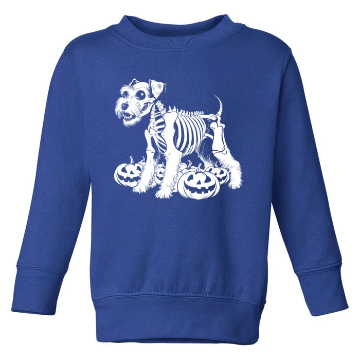 Miniature Schnauzer Skeleton Birthday Halloween Cute Gift Toddler Sweatshirt