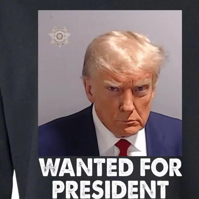 Mug Shot Trump Wanted For President Cropped Pullover Crew