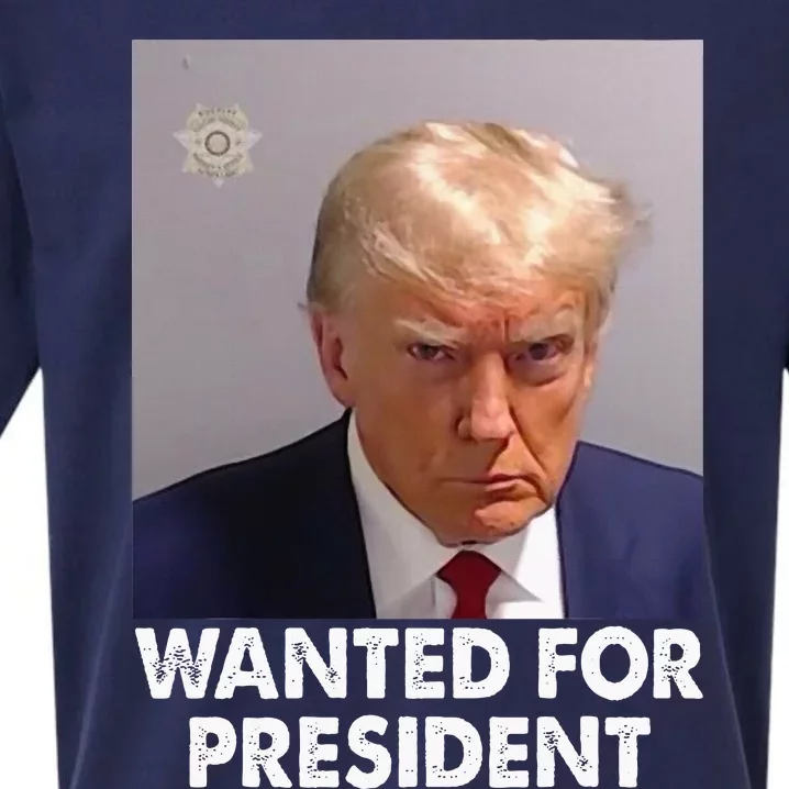 Mug Shot Trump Wanted For President Sueded Cloud Jersey T-Shirt