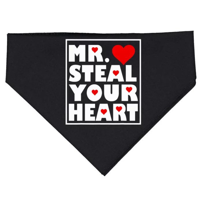 Mr Steal Your Heart Valentines Day USA-Made Doggie Bandana